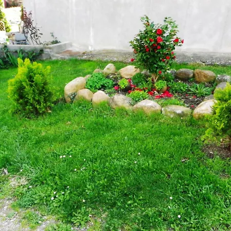 Casa Rural Sofia Ordesa Escalona Exterior foto