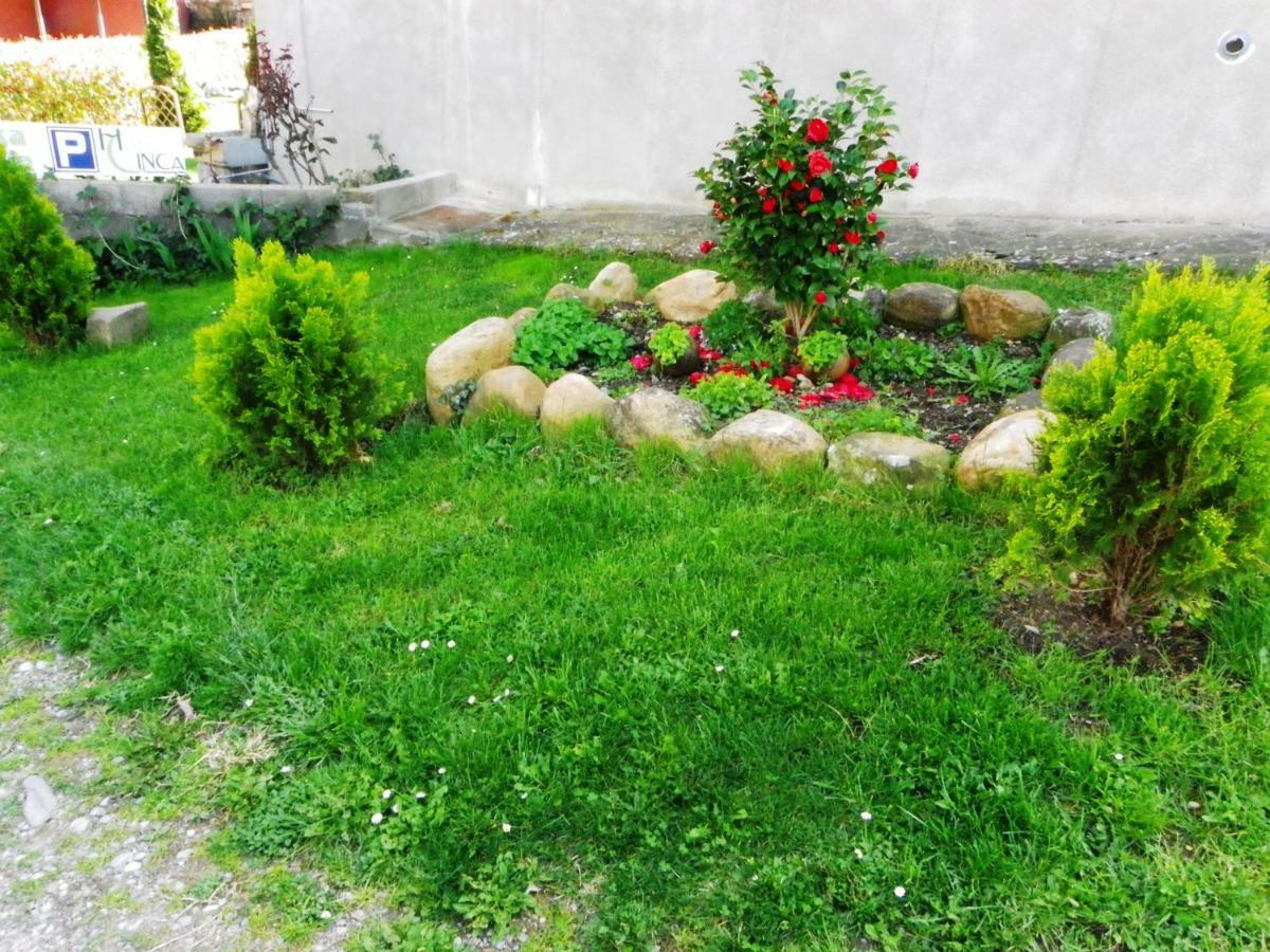 Apartment Sofia Ordesa Escalona (Huesca)